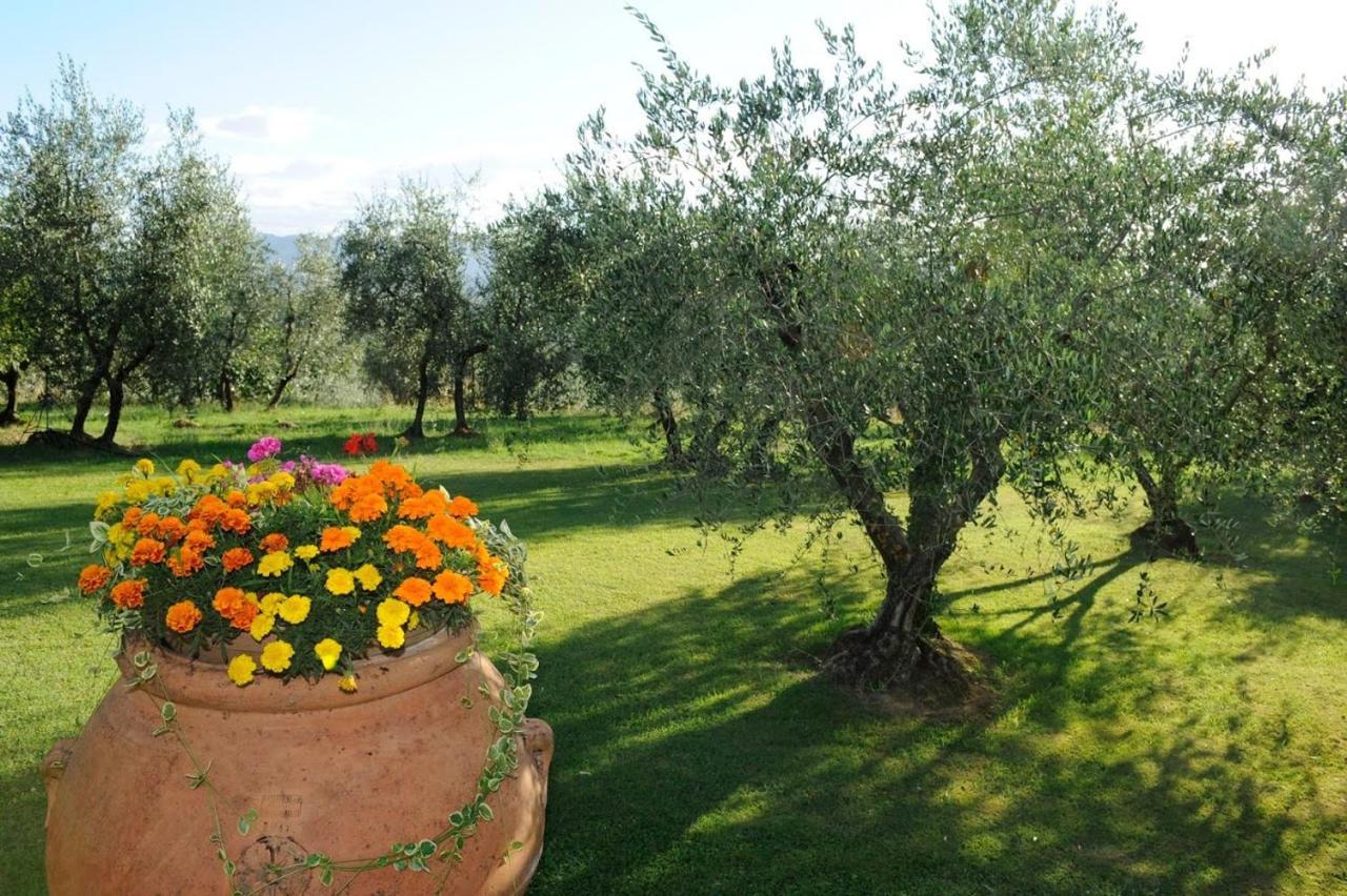 Agriturismo Bellosguardo Reggello Extérieur photo